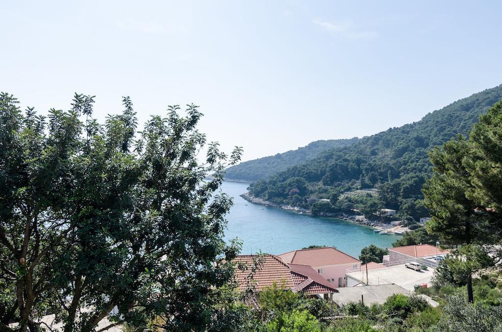 Guest House Kralj Saplunara Rom bilde